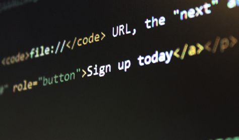 Website Training