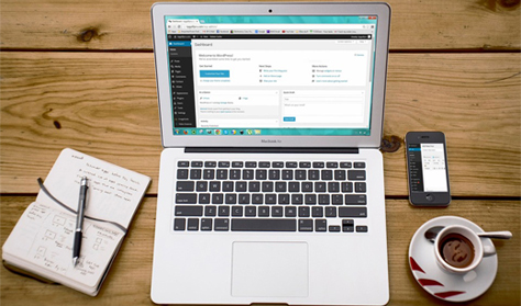 WordPress Expert